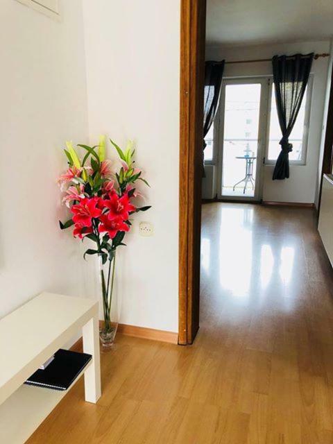 Apartment Melody Иванич-Град Экстерьер фото